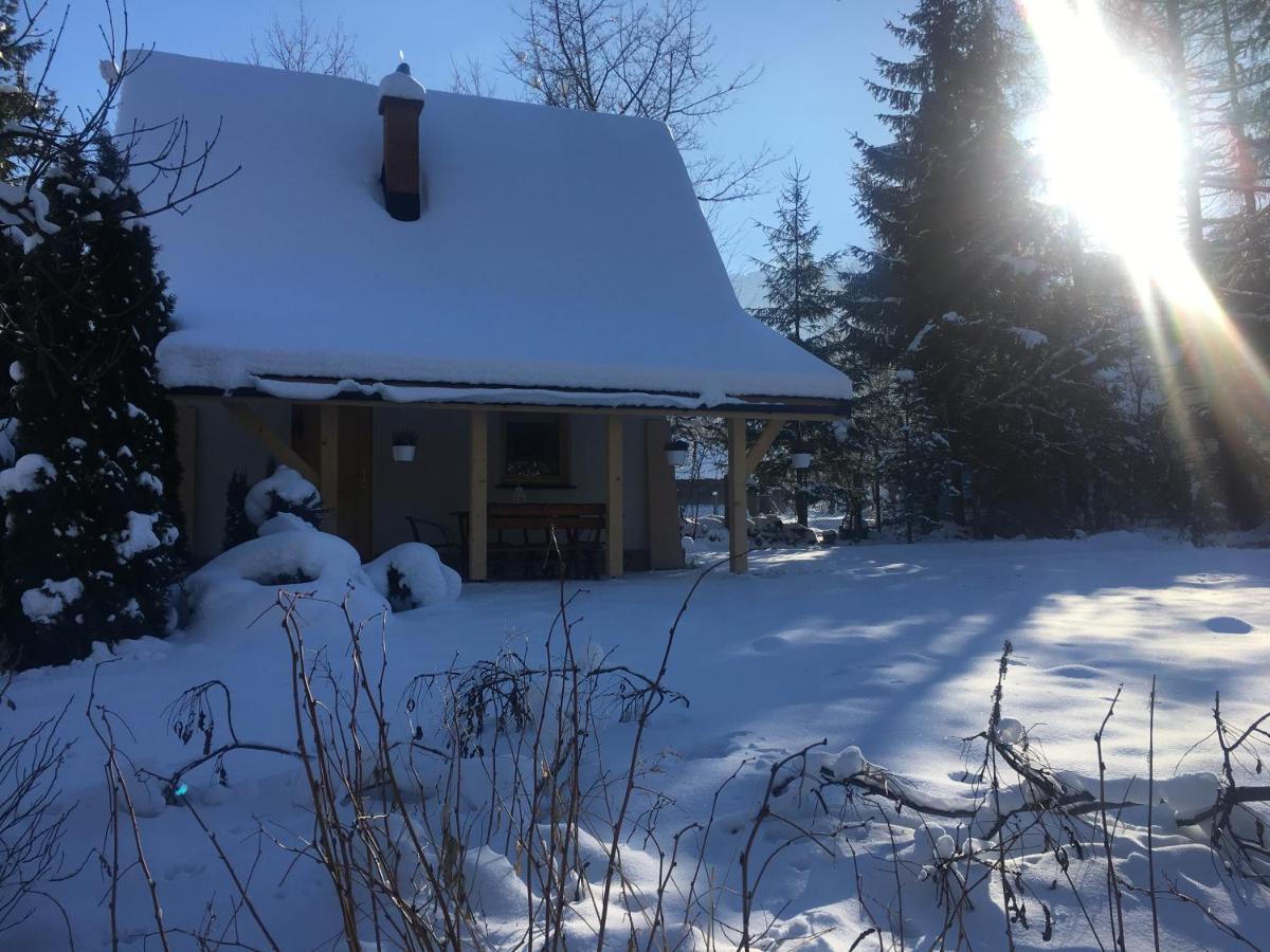 Domek U Mikolaja Zakopane Buitenkant foto
